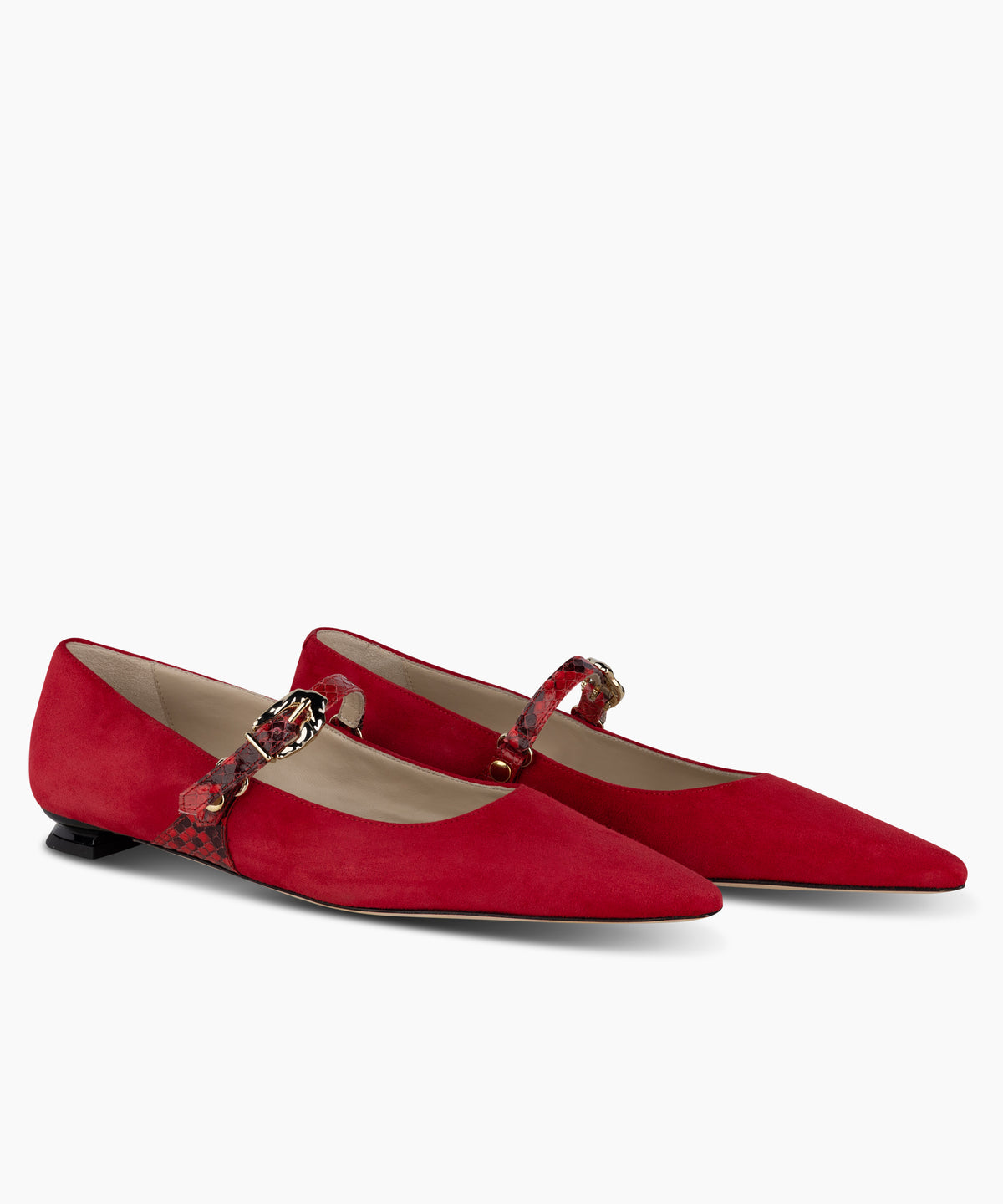 LAINE - Suede Pointed-Toe Mary Jane Flat with Snake Print Buckle Strap and Low Heel - Kelley Kouture from Kelley Kouture